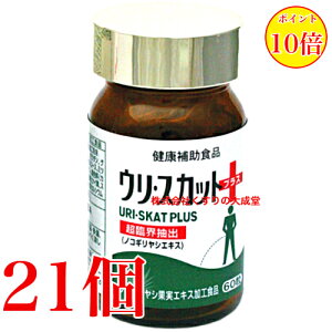 E XJbg vX 60 21 iH i̊2027N8