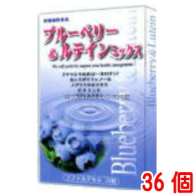 ブルーベリー＆ルテインミックス 36個 富山スカイ