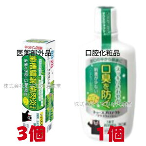 トゥースプロテクト 100g 3個 医薬部外品 薬用歯みがき トゥースプロテクト マウスウォッシュ 300ml 1個 口腔化粧品 テイカ製薬