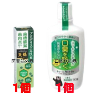 トゥースプロテクト PRO 天峰 80g 1個 医薬部外品 薬用歯みがき トゥースプロテクト マウスウォッシュ 300ml 1個 口腔化粧品 テイカ製薬