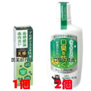トゥースプロテクト PRO 天峰 80g 1個 医薬部外品 薬用歯みがき トゥースプロテクト マウスウォッシュ 300ml 2個 口腔化粧品 テイカ製薬