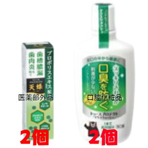 トゥースプロテクト PRO 天峰 80g 2個 医薬部外品 薬用歯みがき トゥースプロテクト マウスウォッシュ 300ml 2個 口腔化粧品 テイカ製薬