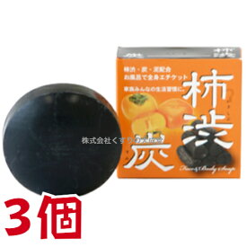 13時までのご注文【あす楽対応】 柿渋炭石鹸 100g 3個 中部薬品