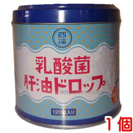 12時までのご注文【あす楽対応】 乳酸菌 肝油ドロップ 120粒 1個肝油ドロップ オレンジ風味 西海製薬