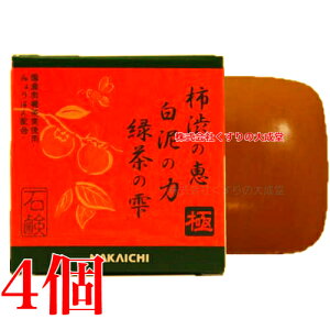 `ǎb D̗ Β̎  ΂ 100g 4 ꃁfBJ Nakaichi `a Ό NA{fB[\[v