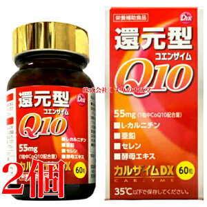 �J���U�C��DX 60�� 2�� ����i�H�� �J���U�C��