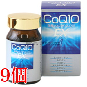 14܂ł̂ yRGUCQ10EX 120 9 COQ10 EX