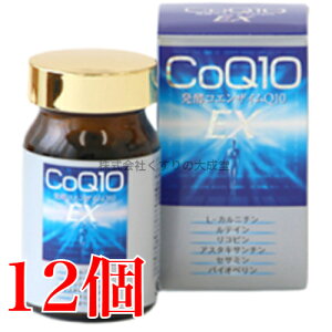 14܂ł̂ yRGUCQ10EX 120 12 COQ10 EX