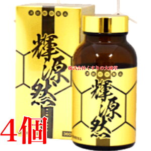 PR KIGENZEN 360 4 CvWFNg 񂺂