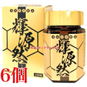 PR KIGENZEN 120 6 CvWFNg 񂺂