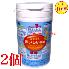 16時までのご注文当日発送 カラダにおいしい肝油 プラス 230粒 2個 富山めぐみ製薬 商品の期限2027年4月