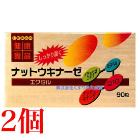 ナットウキナーゼ エクセル 90粒 2個 日新薬品