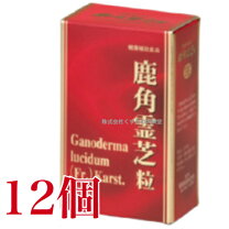楽天市場】健華 霊芝の通販
