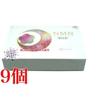 NMN �ጎ�� 30�� 9�� �`���A�u���^�C�v ������i �o�C�^���t�@�[��