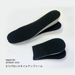 GAbV\[ ܂蓰  Cu X^CAbv  Xj[J[ g