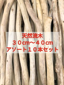 【人気No.2】【送料無料】南信州産 天然流木 枝流木 10本 格安アソートまとめ売り販売 30センチ以上40センチ未満　ハンドメイド素材 マクラメタペストリー 流木インテリア 流木素材 流木アート エアープランツ ドライフラワー スワッグ いけばな 花屋 リース 流木卸売