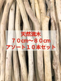 【送料無料】南信州 アルプス産 天然流木 枝流木【70cmから80cm】【10本セット】格安アソートまとめ売り販売 ハンドメイド素材 マクラメタペストリー 流木インテリア 流木アート DIY 店舗デザイン インテリアデザイン 植物 インテリアグリーン SDGS エクステリア 花屋