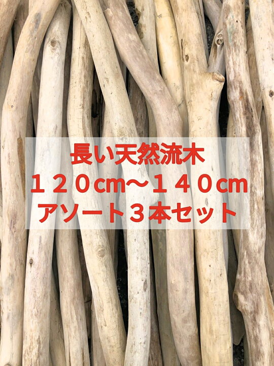 楽天市場】【送料無料】南信州産 天然流木 長い流木 アソート販売 