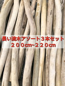まがり屋流木オーダー 200〜220 やや細め〜普通 3本 天井【送料込み】