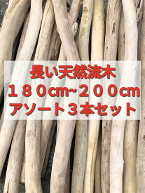 【送料無料】南信州産 国産 天然流木 長い流木【180cm〜200cm】【3本セット】枝幹流木 アソート販売●リノベーション 流木インテリア 店舗装飾 店舗デザイン 建築 リノベーション DIY エクステリア インテリアデザイン SDGS 施工 天然素材 リフォーム ディスプレイ
