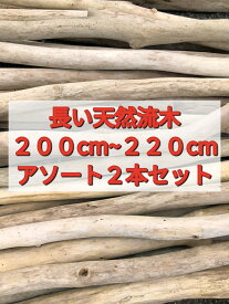【送料無料】南信州産 国産 天然流木 長い枝流木 アソート販売【200cm〜220cm】【2本セット】2m流木●流木インテリア 流木アート 建築 DIY インテリアデザイン 店舗施工 リフォーム リノベーション いけばな 店舗デザイン 流木卸売 フェイクグリーン ドライフラワー