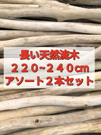 【送料無料】南信州産 天然流木 長い枝流木 アソート販売【220cm〜240cm】【2本セット】2m流木 流木インテリア 流木ハンドメイド DIY インテリアデザイン リフォーム リノベーション 店舗デザイン 店舗装飾 マクラメ 建築 インテリアグリーン フェイクグリーン