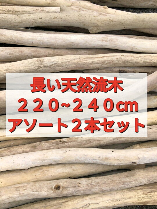 楽天市場】【送料無料】南信州産 天然流木 長い枝流木 アソート販売 