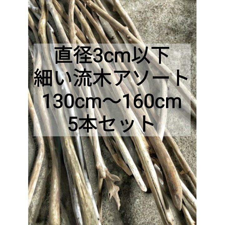 楽天市場】【送料無料】南信州産 天然流木 【直径3cm以下 細い流木  