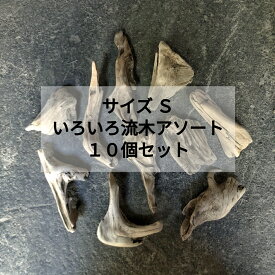 【送料無料】南信州産 天然流木 【塊、板、根】いろいろ流木 【アソート10個セット 】【サイズS 】 格安まとめ売り●インテリア ハンドメイド DIY 多肉植物 ドライフラワー エアープランツ ビカクシダ コウモリラン アクアリウム テラリウム 苔 雑貨 花屋 デザイン