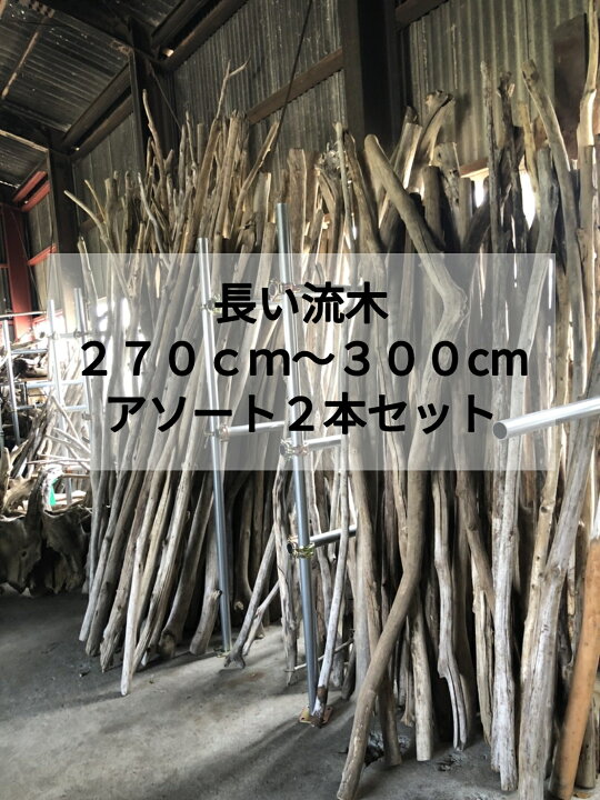 楽天市場】送料無料 南信州アルプス産 天然流木 超特大 長い枝流木 270 