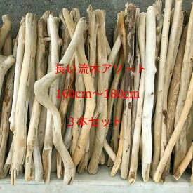 楽天市場 木 枝 木材の通販