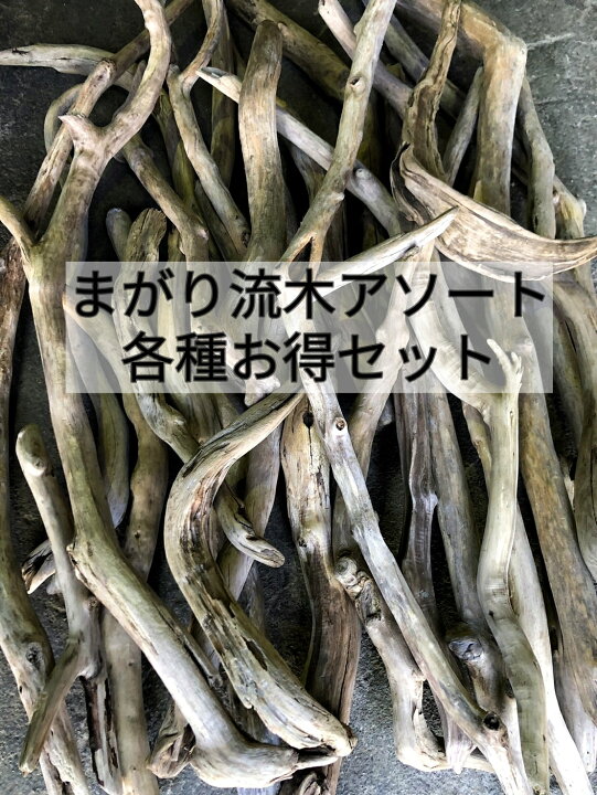楽天市場】【送料無料】南信州産 【枝分かれ まがり流木】【100cm 