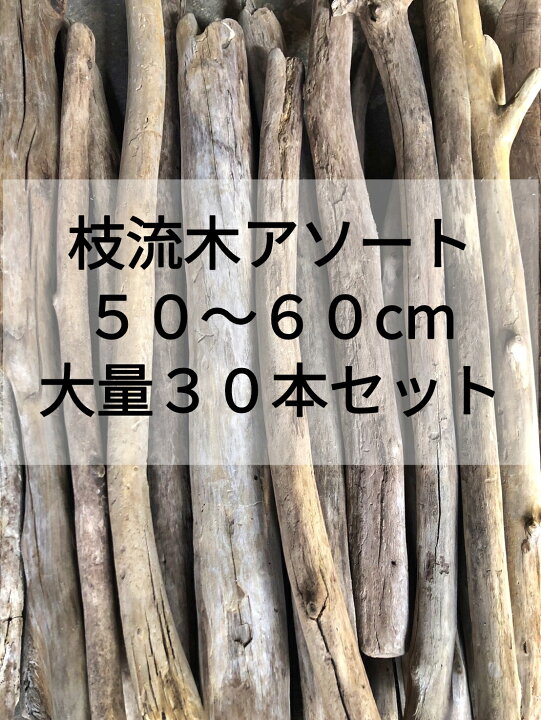 楽天市場】【大量セット】【送料無料】南信州産 国産 天然流木 枝流木 