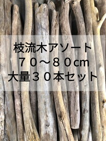 送料無料 南信州アルプス産 国産天然流木 70-80cm 細め枝流木 30本セット アソート販売 淡水流木 流木通販 ハンドメイド インテリア 植物ディスプレイ DIY素材