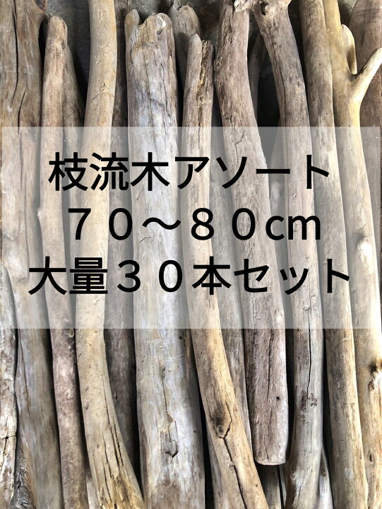 楽天市場】送料無料 南信州アルプス産 国産天然流木 70-80cm 細め枝 