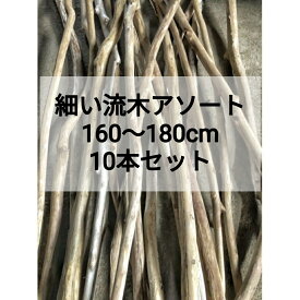 【送料無料】南信州産 天然流木【160〜180cm（細め流木・幅3cm以下）】【10本セット まとめ売り】 DIY・リノベーション・インテリア・ディスプレイ 撮影小物・いけばな・ドライフラワー装飾に最適 ロング流木 細い流木 淡水流木 細め流木 格安流木セット 流木通販
