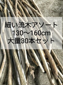 【送料無料】【大量販売】南信州産 天然流木 130〜160cm 細い流木（幅3cm以下） 30本セット 枝流木 アソート販売 インテリア・天井装飾・いけばな・植物・ドライフラワー・DIY素材 流木通販 流木卸売