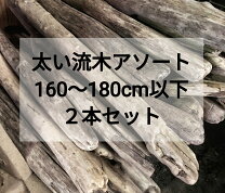 楽天市場】流木（流木・砂利・レイアウト用品｜水槽・アクアリウム内装 
