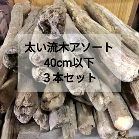 【送料無料】【太い流木】枝流木 幹流木 太め流木 天然流木【40cm以下】【3本セット まとめ売り】格安アソート 淡水流木 セット 卸売 建築 DIY キャットタワー 流木インテリア 流木アート 爬虫類 ケージ 猫 柵 木工 デザイン エクステリア 天然木材 手すり リノベーション