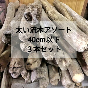【送料無料】【太い流木】枝流木 幹流木 太め流木 天然流木【40cm以下】【3本セット まとめ売り】格安アソート 淡水流木 セット 卸売 建築 DIY キャットタワー 流木インテリア 流木アート 爬