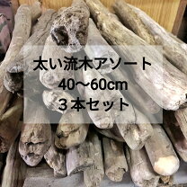 楽天市場】流木 爬虫類（熱帯魚・アクアリウム｜ペット・ペットグッズ 