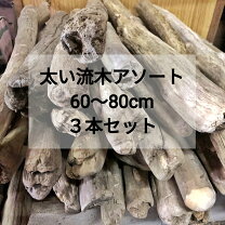楽天市場】流木 3本セットの通販