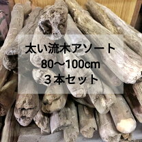 楽天市場】流木 80cmの通販