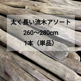【送料無料】【太い流木】枝流木 幹流木 太め流木 長い流木 天然流木【260cm〜280cm（2m）】【1本（単品販売）】格安アソート 淡水流木 卸売 建築 DIY キャットタワー 流木インテリア 流木アート 爬虫類 ケージ 猫 柵 木工 デザイン 天然木材 手すり リノベーション