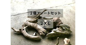 【送料無料】南信州産 天然流木 【塊 変形 板 根】 いろいろ流木 【アソート 2個セット 】【最大サイズ 2XL】大きめ流木 格安まとめ売り●流木インテリア 流木ハンドメイド DIY 多肉植物 ドライフラワー エアープランツ リース コウモリラン アクアリウム スワッグ 花屋
