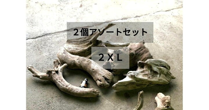 楽天市場】【送料無料】南信州産 天然流木 【塊 変形 板 根】 いろいろ 
