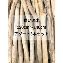 楽天市場】流木 1mの通販