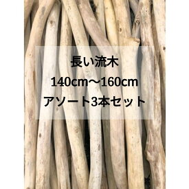 【送料無料】南信州・アルプス産 天然流木 140〜160cm 長い枝流木 幅3〜6cm 3本セット アソート販売 インテリア・装飾・いけばな・植物・ディスプレイ・DIY素材 リノベーション 流木通販