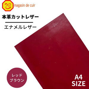 {v GiU[yA4zy0503bhuEzU[ bhuE ԒF v NȂ߂  v {v {v JbgNX Zbg z  v DIY nhCh  Ntg l