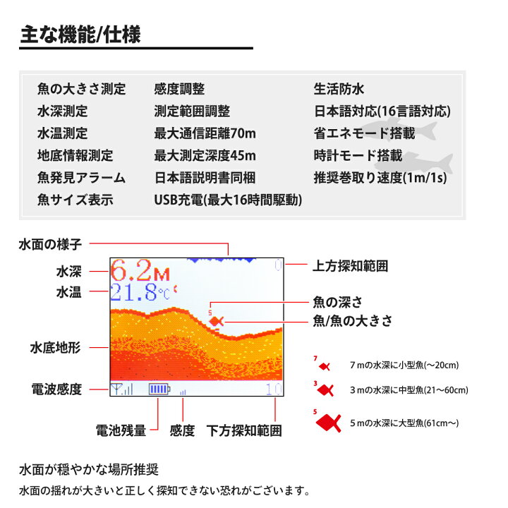 楽天市場】MagCruise日本正規代理店品 1年保証 ぎょぎょウォッチ  